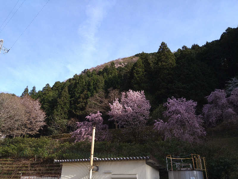 青いろブルーっす。さんのかすがモリモリ村リフレッシュ館のサ活写真