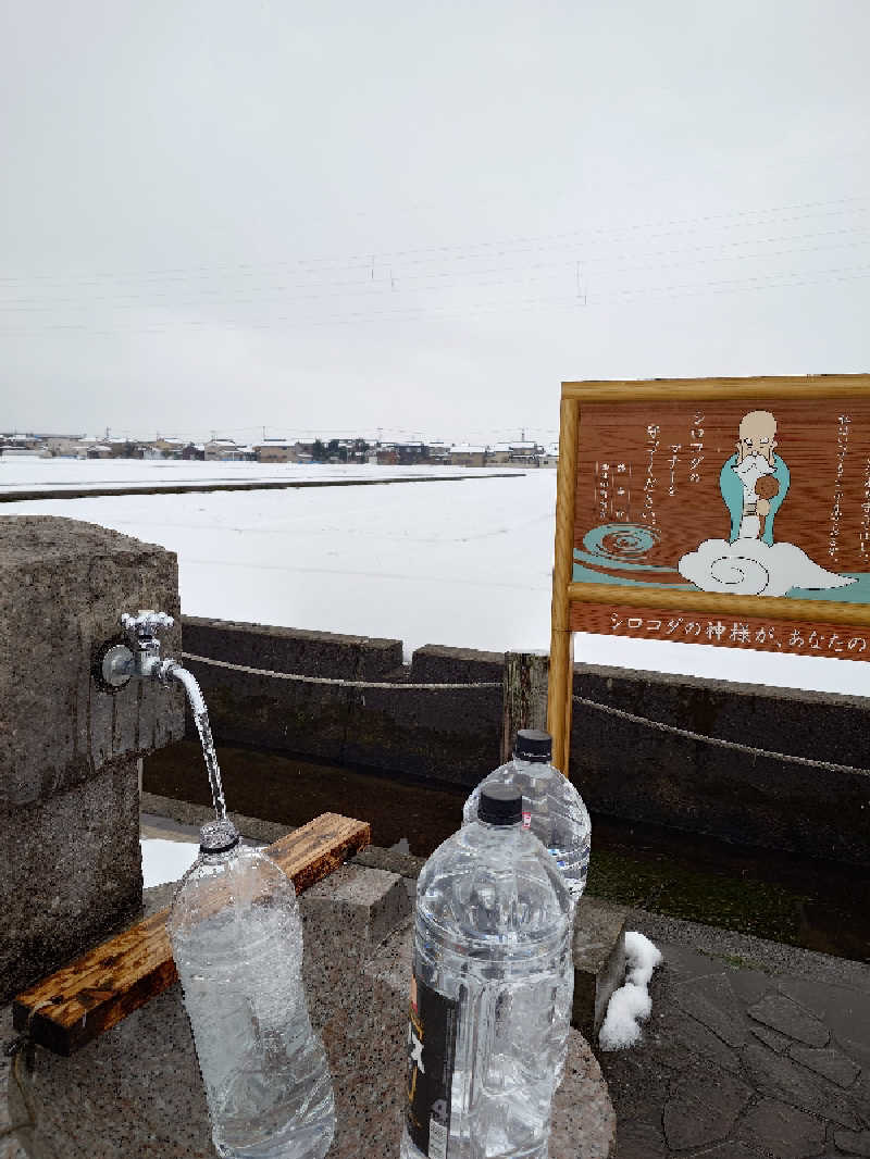 ひろひろさんのピュア涌泉寺のサ活写真