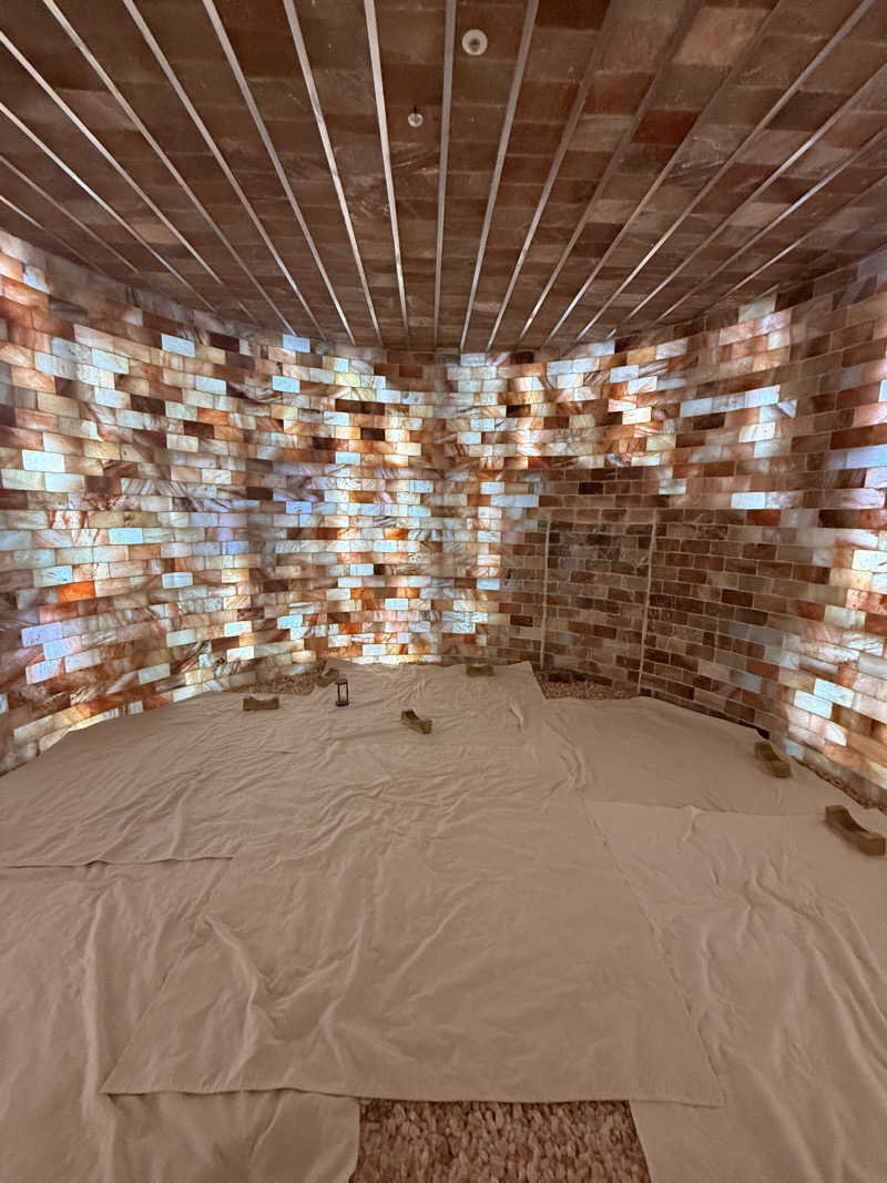 ARISAUNAさんの웰니스스파찜질방のサ活写真