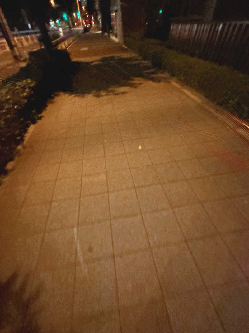 ぷぷさんの天然温泉 なにわの湯のサ活写真