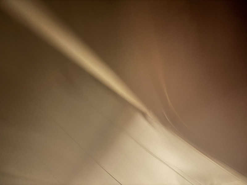 だいあみさんの湯のさと ちくま 白鳥園のサ活写真