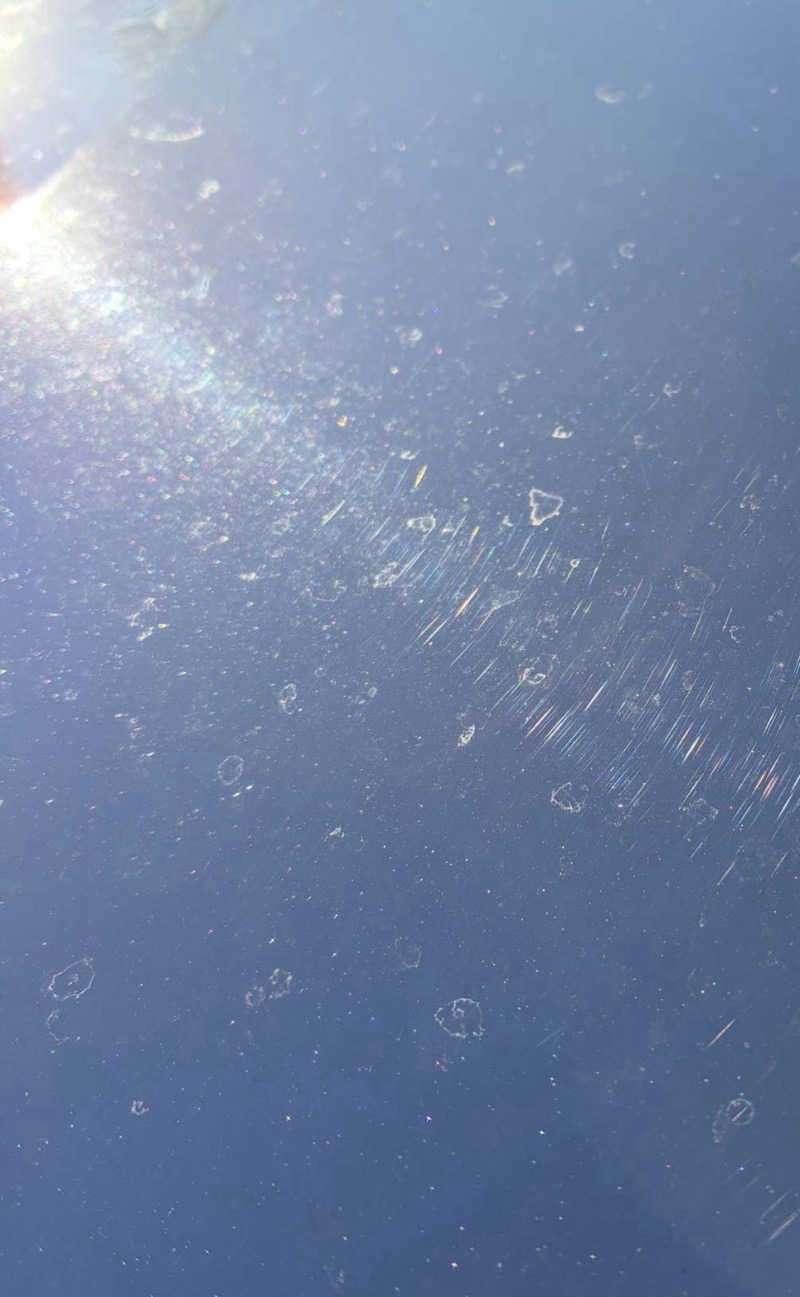 だいあみさんの湯のさと ちくま 白鳥園のサ活写真