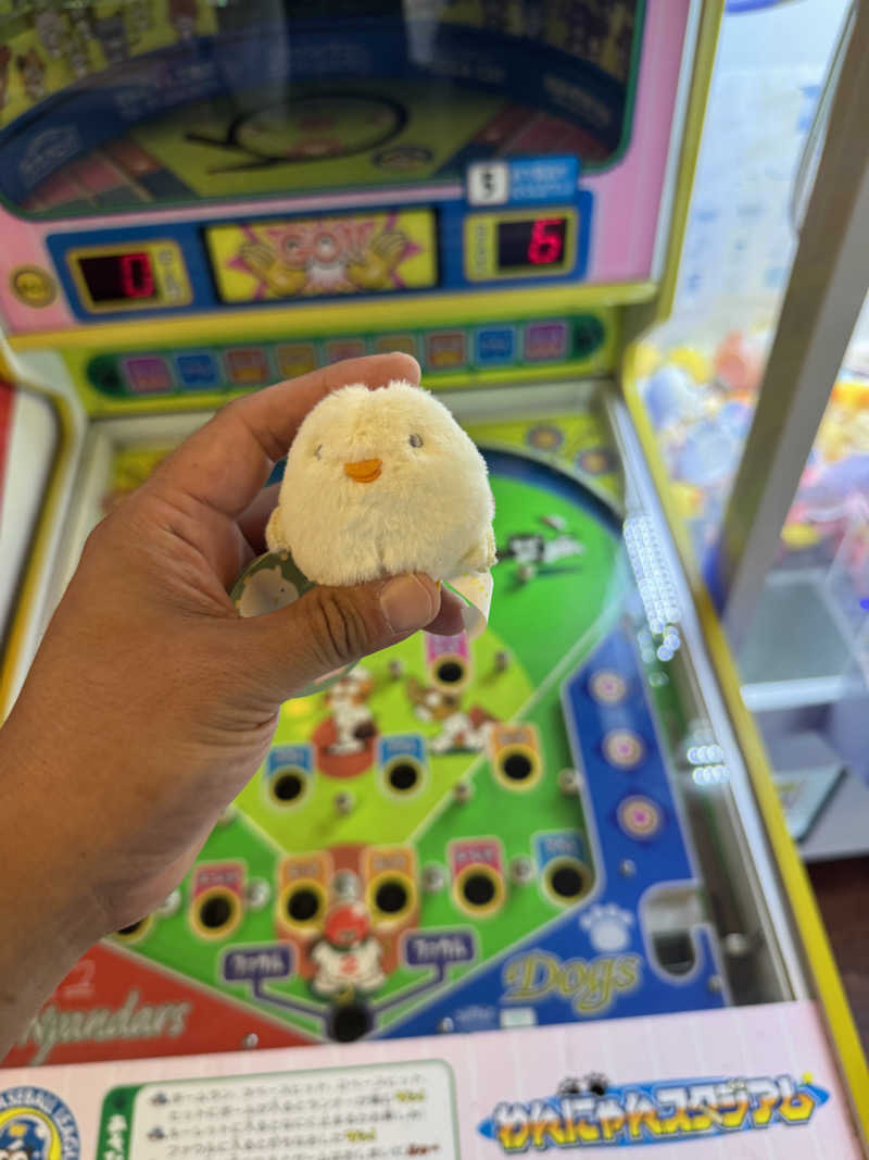 しろくまちゃんさんの湯乃泉 草加健康センターのサ活写真