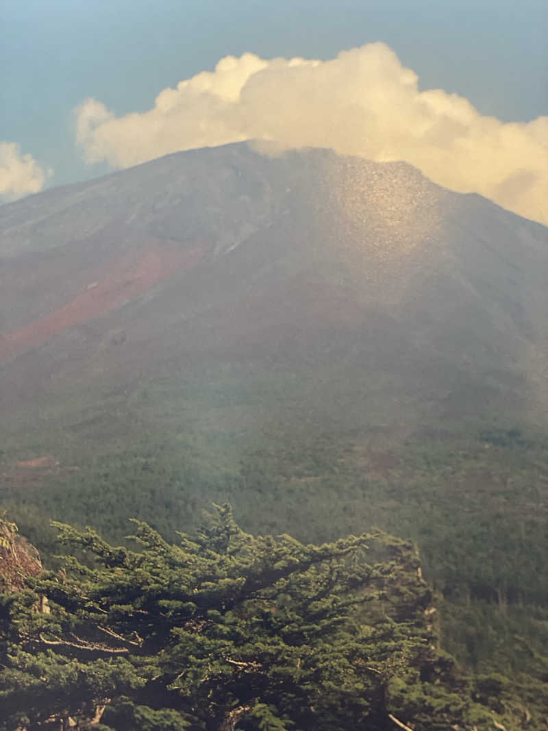 干からび爺さんの河口湖 ホテル 桜庵のサ活写真