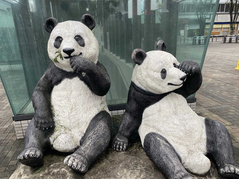 干からび爺さんのサウナ&カプセルホテル 北欧のサ活写真