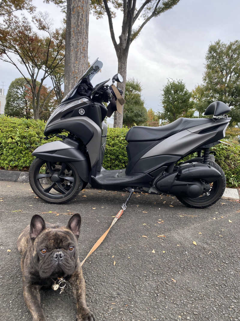 干からび爺さんの藤沢市秋葉台文化体育館のサ活写真