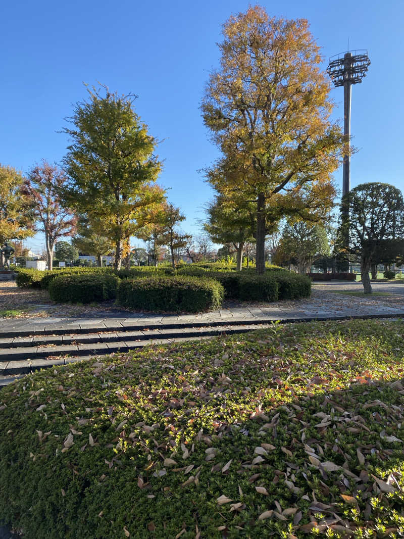 干からび爺さんの藤沢市秋葉台文化体育館のサ活写真