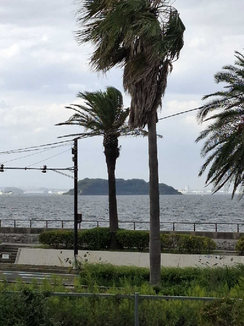 ひろあきさんの横須賀温泉 湯楽の里のサ活写真