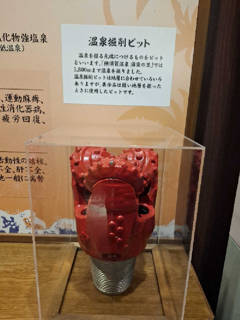 ひろあきさんの横須賀温泉 湯楽の里のサ活写真