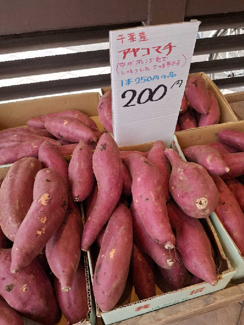 ひろあきさんの横須賀温泉 湯楽の里のサ活写真