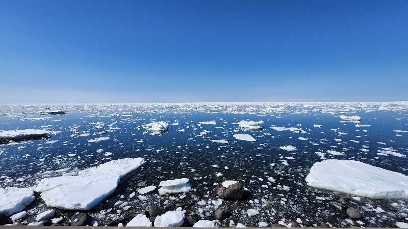 わっちゃんさんの知床第一ホテルのサ活写真