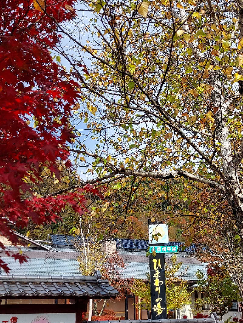 bunazouさんの信州平谷温泉 ひまわりの湯のサ活写真