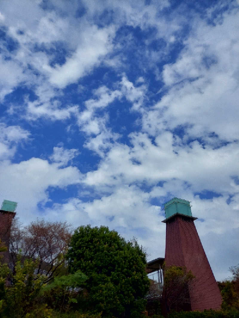 bunazouさんの天然温泉 本宮の湯のサ活写真