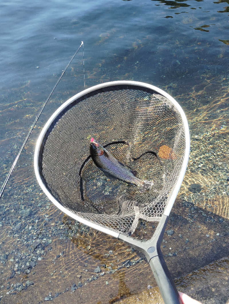 やすきちくんさんの稲武温泉 どんぐりの湯のサ活写真