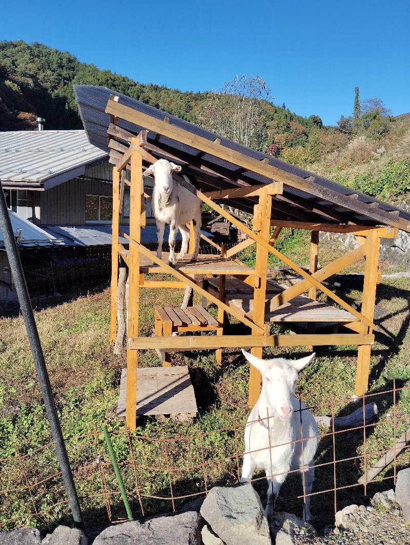 やすきちくんさんのHOLY FUNGUSのサ活写真