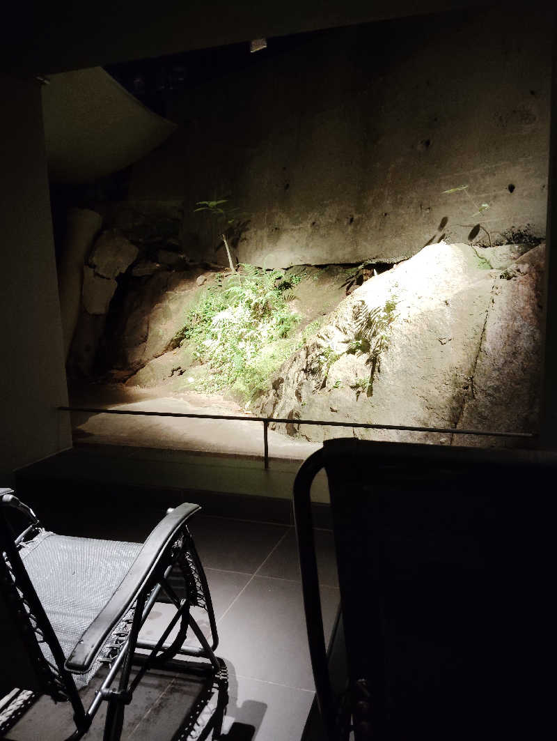 やすきちくんさんの平野屋サウナのサ活写真