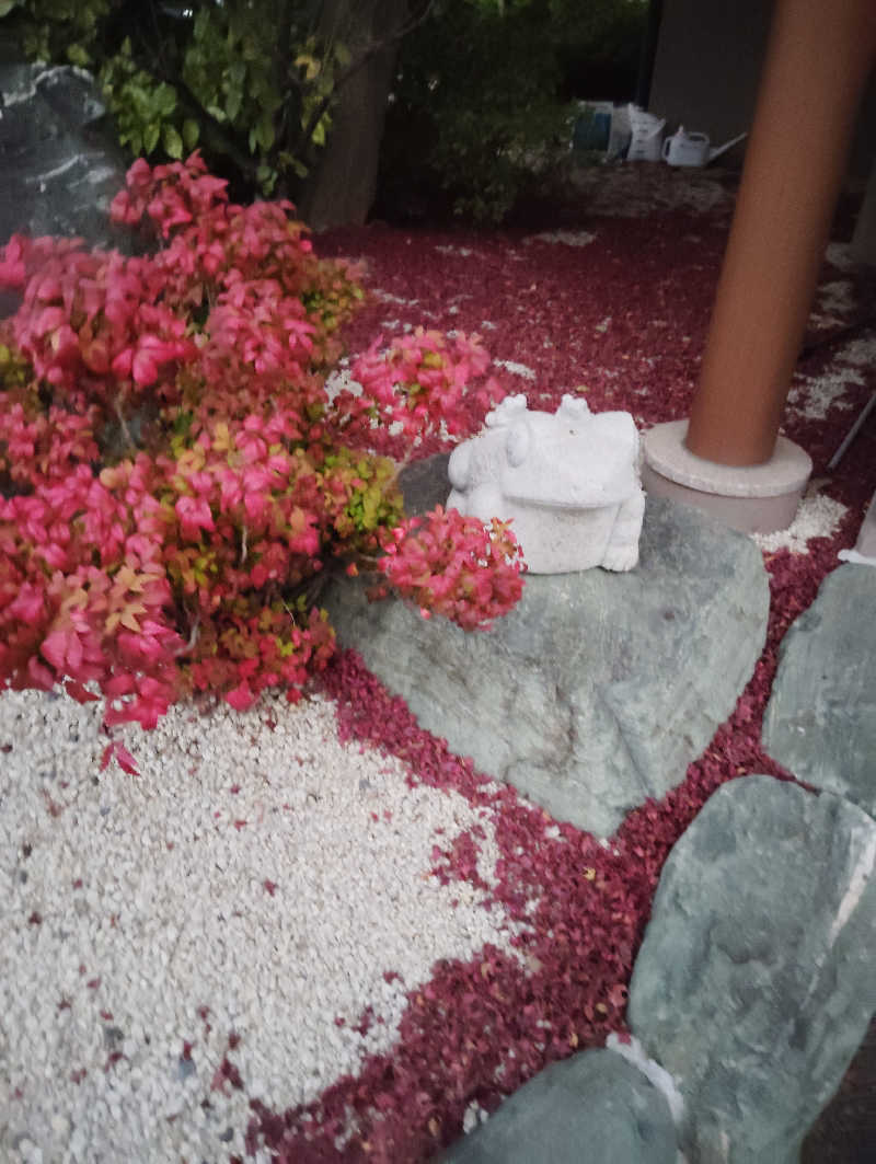 やすきちくんさんのおかざき楽の湯のサ活写真