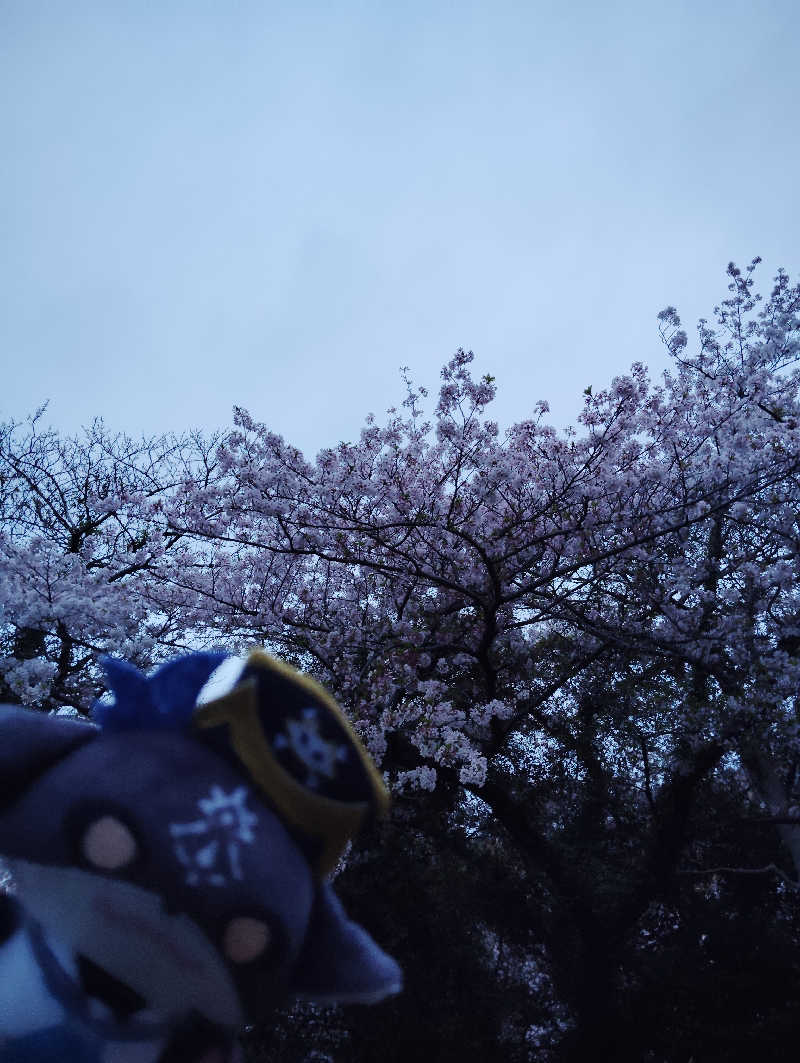 やすきちくんさんの平野屋サウナのサ活写真