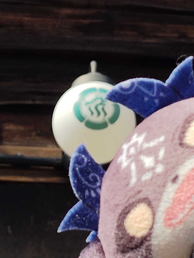 やすきちくんさんの龍城さうなのサ活写真