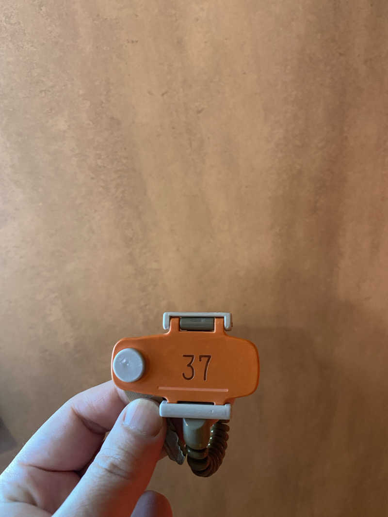 シンカ・サウナーさんの温泉バルコニー キング&クイーンのサ活写真