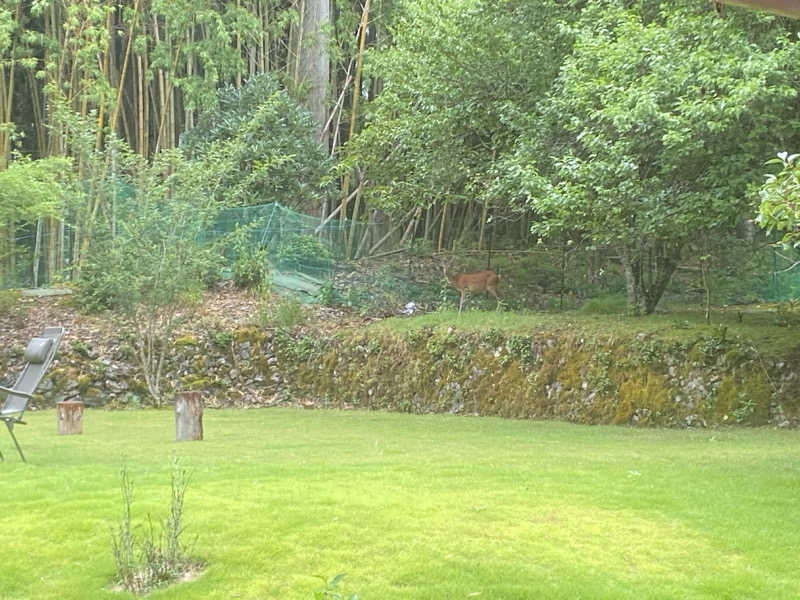 シンカ・サウナーさんのEarthing MIYAMAのサ活写真