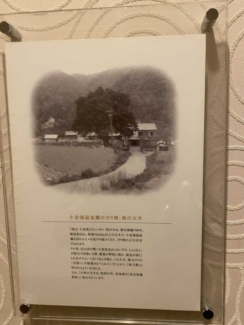 シンカ・サウナーさんの小金湯温泉 湯元 小金湯のサ活写真