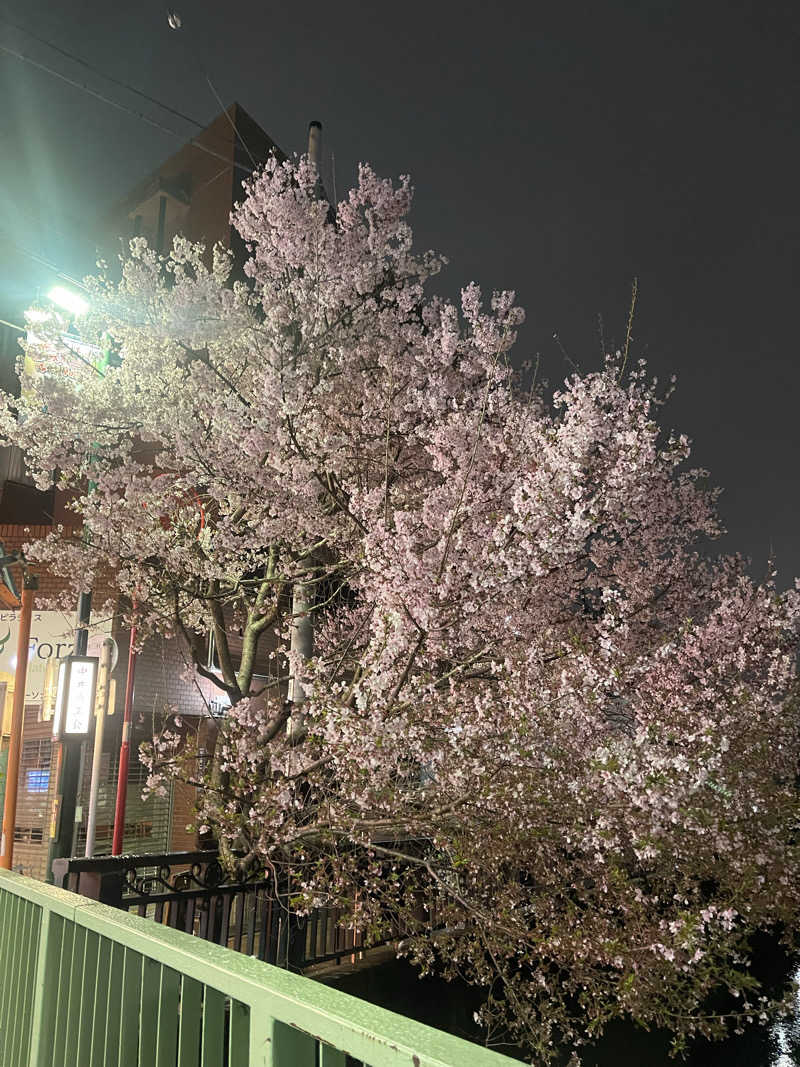 まぬるさんの三の輪湯のサ活写真