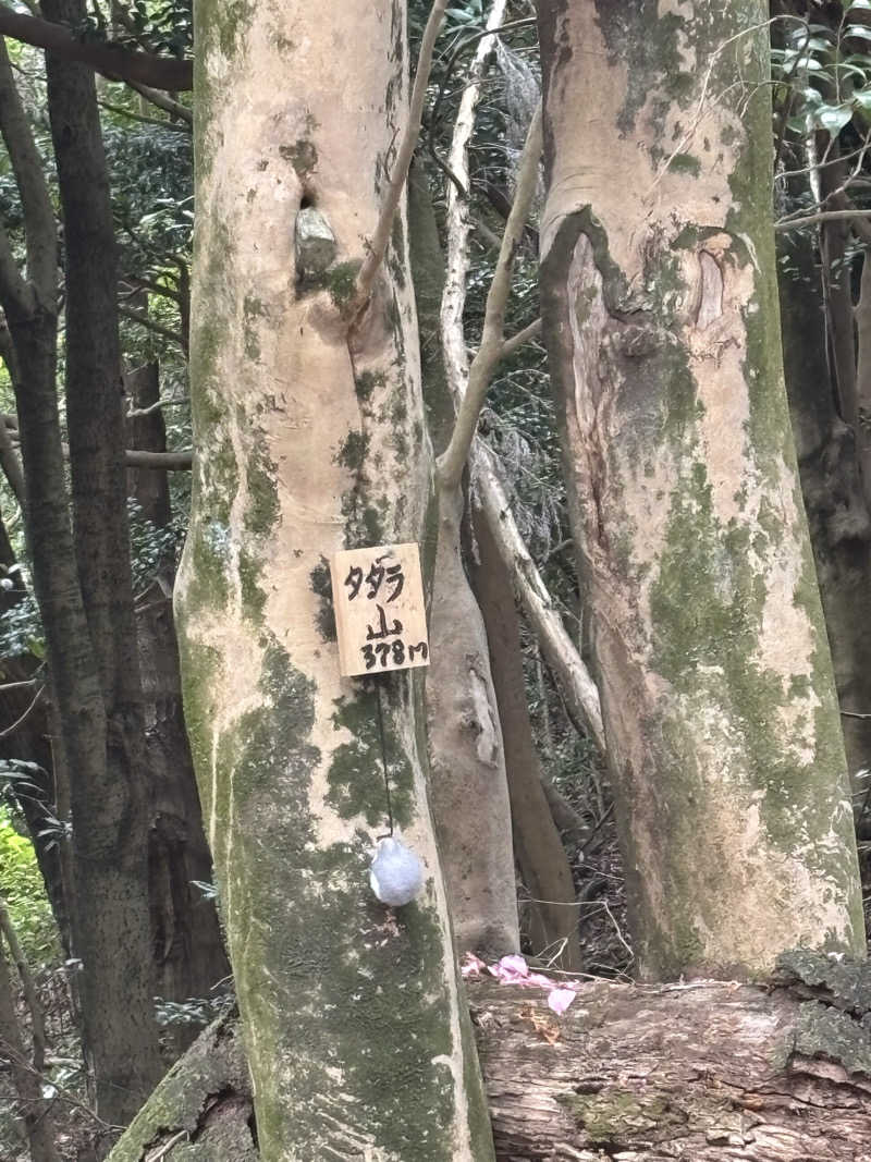 ゆうきさんの八尾温泉 喜多の湯のサ活写真