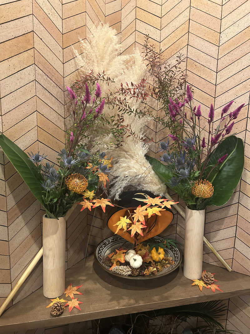 ありぴょさんの朝日湯源泉ゆいるのサ活写真