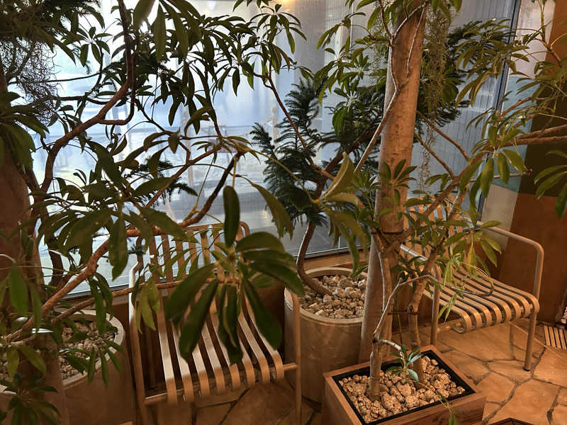 ありぴょさんの豊島園 庭の湯のサ活写真