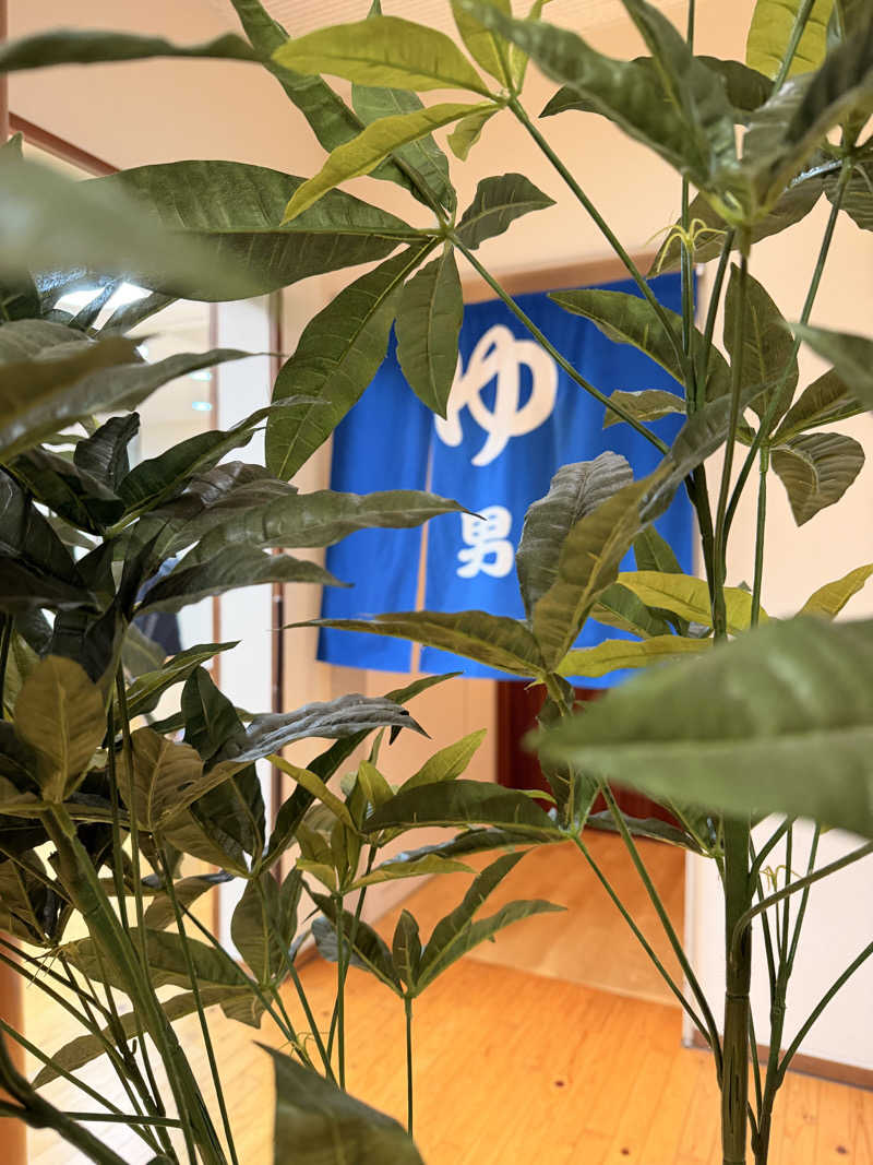 ozilowさんの稲武温泉 どんぐりの湯のサ活写真