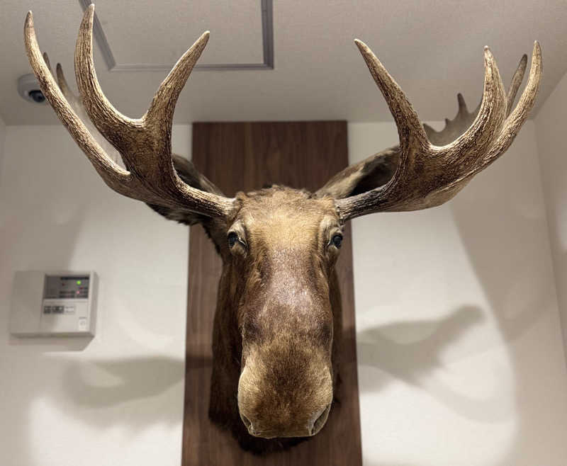 ぼーぼさんのニュージャパン 梅田店(カプセルイン大阪)のサ活写真