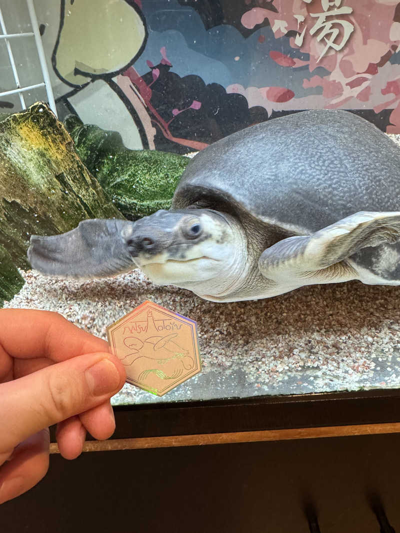 ぼーぼさんの松本湯のサ活写真