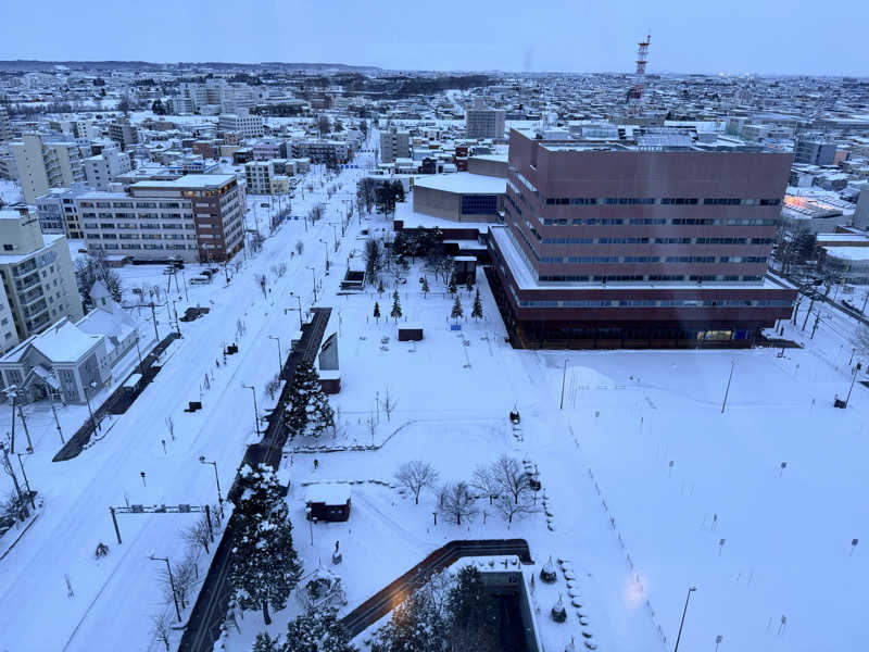 ぼーぼさんのOMO7旭川(おも) by 星野リゾート サウナプラトーのサ活写真