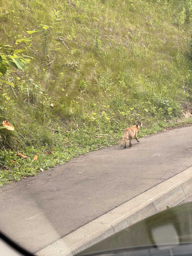 さうーにゃさんのKIKI知床 ナチュラルリゾートのサ活写真