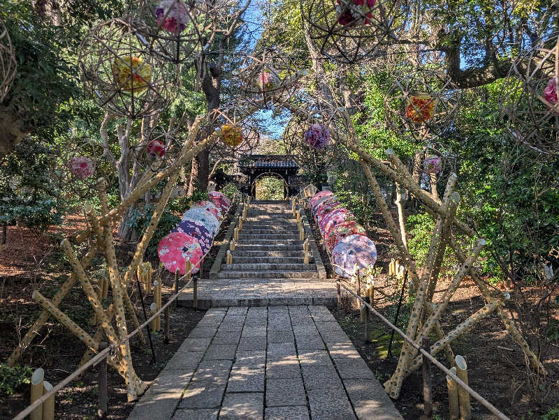 しょっちーさんのよみうりランド眺望温泉 花景の湯のサ活写真