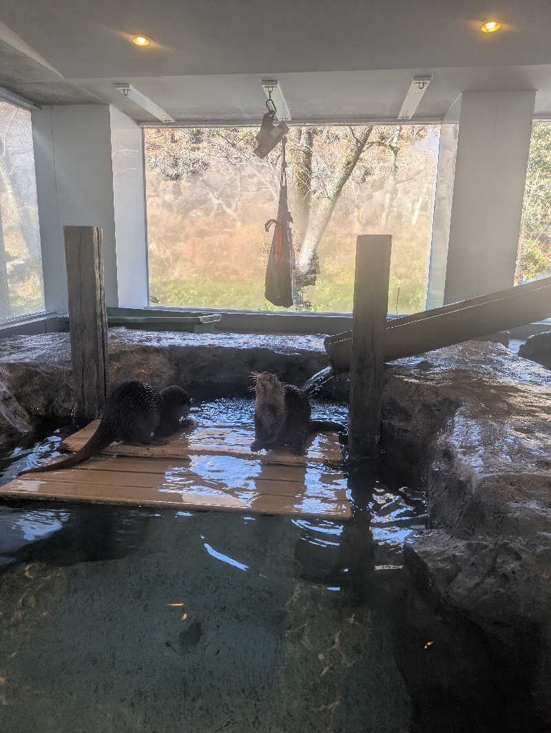 しょっちーさんのよみうりランド眺望温泉 花景の湯のサ活写真