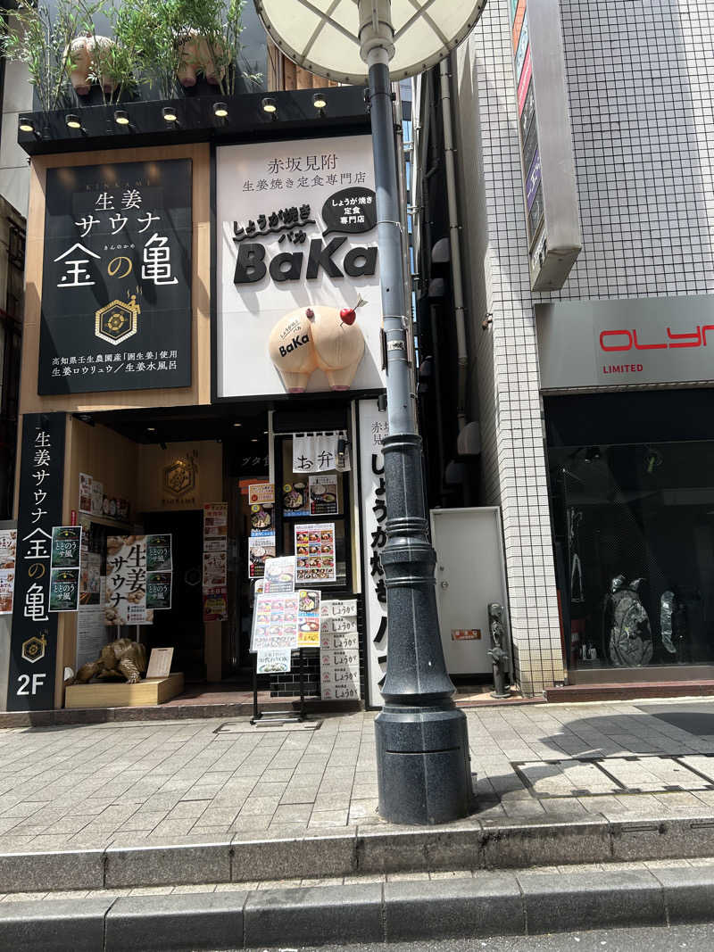 ととのいサウナさんの生姜サウナ 金の亀のサ活写真