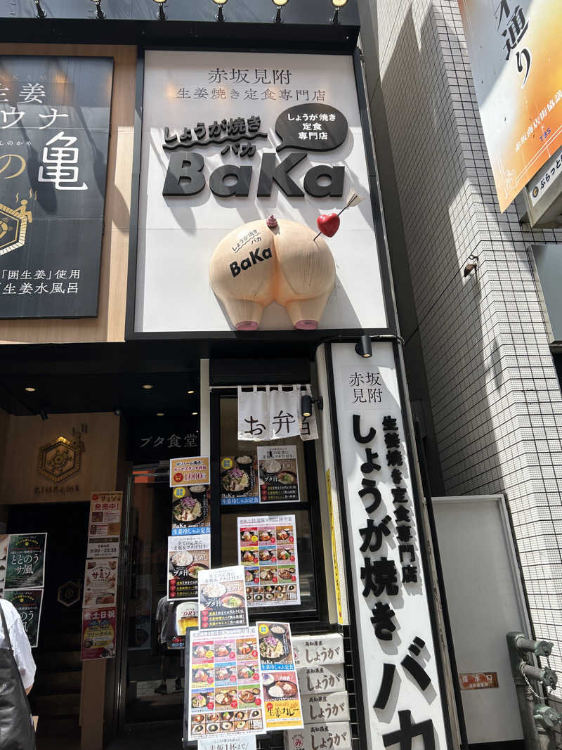 ととのいサウナさんの生姜サウナ 金の亀のサ活写真