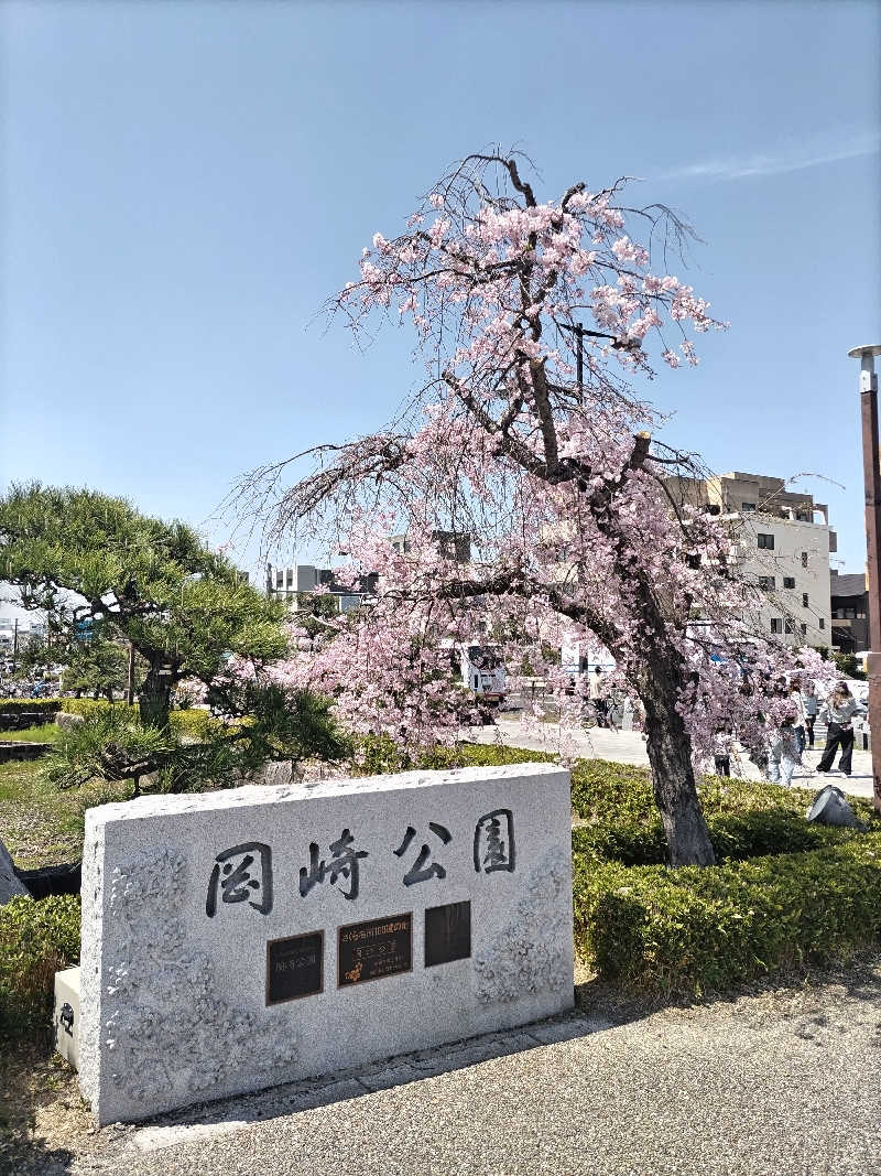 籠龍小僧(ロウリュウコゾウ)さんの天然温泉コロナの湯 安城店のサ活写真