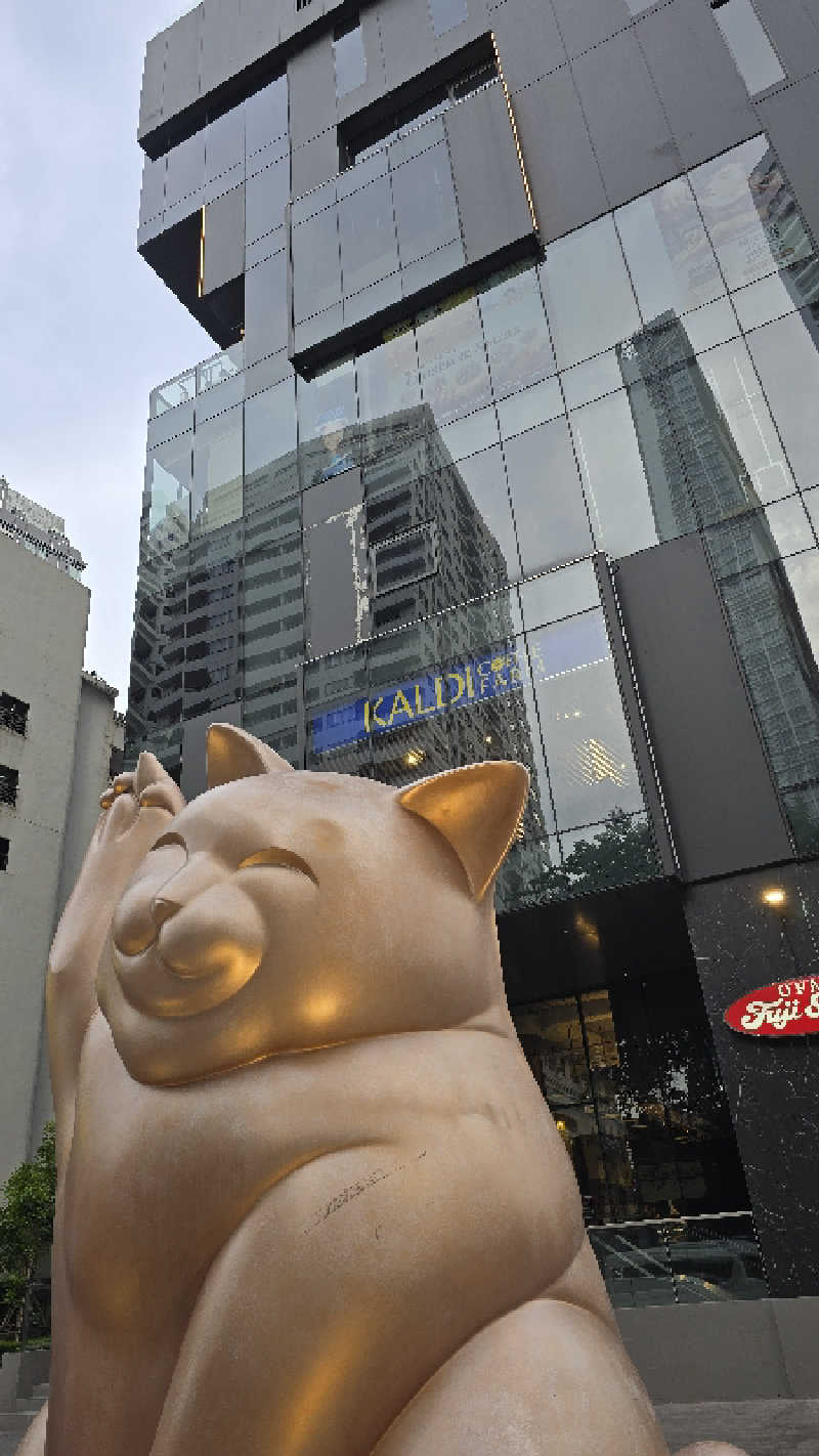 くじらさんのICHIRIN WELLNESSのサ活写真