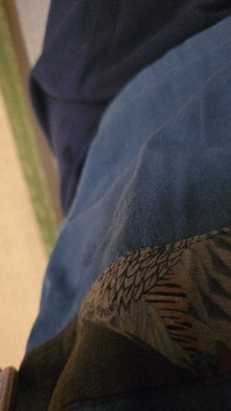 くじらさんのICHIRIN WELLNESSのサ活写真