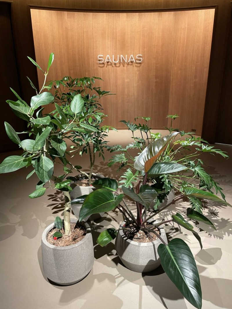 フミックさんの高輪SAUNASのサ活写真